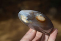 Polished Agate Standing Free Forms x 5 From Madagascar