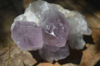 Natural Jacaranda Amethyst Clusters  x 3 From Mumbwa, Zambia - Toprock Gemstones and Minerals 