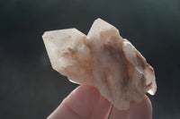 Natural Highly Selected Pineapple Candle Quartz Crystals  x 24 From Madagascar - Toprock Gemstones and Minerals 