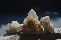 Natural Cascading Pale Citrine Clusters  x 3 From Luena, Congo - Toprock Gemstones and Minerals 