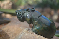 Polished Green Verdite Hippo Carvings x 3 From Zimbabwe