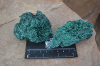 Natural Chatoyant Silky Malachite Specimens  x 6 From Kasompe, Congo - Toprock Gemstones and Minerals 