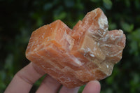 Natural New Sunset Orange Calcite Specimens  x 12 From Spitzkop, Namibia