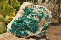 Natural Classic XXL Dioptase Museum Specimen x 1 From Tantara, Congo - TopRock