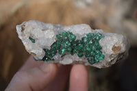 Natural Rare Ball Malachite On Drusy Quartz & Dolomite Specimens x 6 From Kambove, Congo