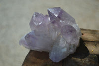 Natural Jacaranda Amethyst Clusters  x 3 From Mumbwa, Zambia - Toprock Gemstones and Minerals 