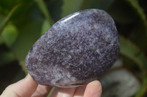 Polished Purple Lepidolite Standing Free Forms  x 4 From Madagascar