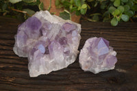 Natural Jacaranda Amethyst Clusters x 2 From Mumbwe, Zambia