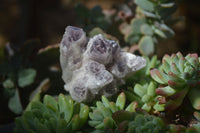 Natural Sugar Amethyst Clusters  x 6 From Solwezi, Zambia