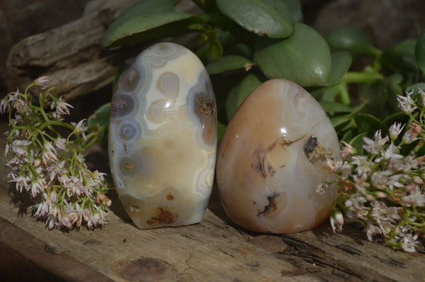 Polished Agate Standing Free Forms  x 5 From Madagascar