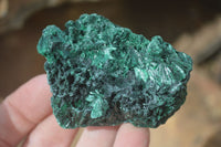 Natural Chatoyant Silky Malachite Specimens  x 6 From Kasompe, Congo