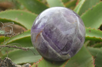 Polished Smokey Amethyst Spheres  x 2 From Madagascar - TopRock