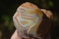 Polished Banded River Agate Nodules  x 6 From Sashe River, Zimbabwe - Toprock Gemstones and Minerals 