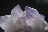 Natural Jacaranda Amethyst Clusters  x 3 From Mumbwa, Zambia - Toprock Gemstones and Minerals 