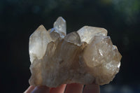 Natural Cascading Pale Citrine Clusters  x 3 From Luena, Congo - Toprock Gemstones and Minerals 