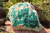 Natural Classic XXL Dioptase Museum Specimen x 1 From Tantara, Congo - TopRock