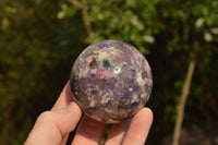 Polished Lovely Purple Lepidolite Spheres  x 4 From Madagascar - TopRock