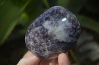 Polished Purple Lepidolite Standing Free Forms  x 4 From Madagascar