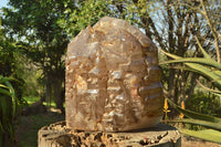 Polished Gorgeous XXL Elestial Smokey Window Quartz Crystal With Cascading Tabular Crystals x 1 From Madagascar - TopRock