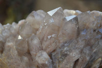 Natural Cascading Smokey Quartz Clusters x 2 From Congo