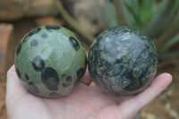 Polished Stromatolite / Kambamba Jasper Spheres  x 3 From Madagascar - Toprock Gemstones and Minerals 