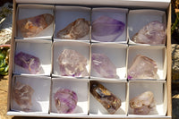 Polished Stunning Selection Of Skeletal Smokey Amethyst Quartz Crystals  x 12 From Akansobe, Madagascar - TopRock