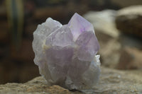 Natural Jacaranda Amethyst Crystals x 6 From Mumbwe, Zambia