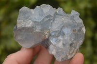 Natural Blue Celestite Crystal Specimens  x 6 From Sakoany, Madagascar