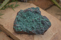 Natural Drusy Coated Ball Malachite On Dolomite Specimen  x 1 From Likasi, Congo