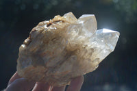 Natural Cascading Pale Citrine Clusters  x 3 From Luena, Congo - Toprock Gemstones and Minerals 