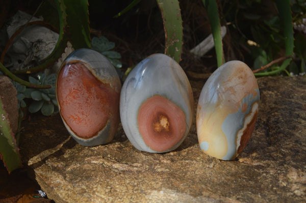 Polished Polychrome Jasper Standing Free Forms  x 3 From Madagascar