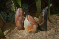 Polished Polychrome Jasper Standing Free Forms  x 3 From Madagascar