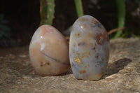 Polished Agate Standing Free Forms x 5 From Madagascar