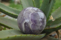 Polished Smokey Amethyst Spheres  x 2 From Madagascar - TopRock