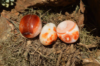 Polished Stunning Selection Of Carnelian Agate Palm Stones  x 20 From Madagascar - TopRock