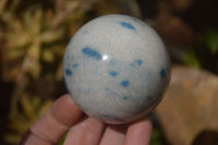 Polished Blue Spotted Spinel Quartz Spheres x 5 From Madagascar