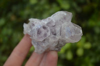 Natural Sugar Amethyst Clusters  x 6 From Solwezi, Zambia