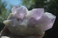 Natural Jacaranda Amethyst Clusters x 2 From Mumbwa, Zambia - TopRock