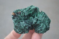 Natural Chatoyant Silky Malachite Specimens  x 6 From Kasompe, Congo - Toprock Gemstones and Minerals 