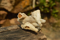 Natural Drusi Quartz Coated Calcite Pseudomorph Specimens  x 12 From Alberts Mountain, Lesotho - TopRock