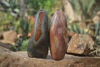 Polished Polychrome Jasper Standing Free Forms  x 3 From Madagascar