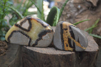 Polished Septerye Free Form Slices   x 12 From Mahajanga, Madagascar - Toprock Gemstones and Minerals 