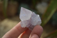 Natural Single Spirit Amethyst Quartz Crystals x 70 From Boekenhouthoek, South Africa