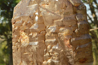 Polished Gorgeous XXL Elestial Smokey Window Quartz Crystal With Cascading Tabular Crystals x 1 From Madagascar - TopRock