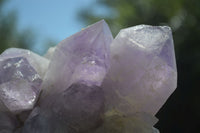 Natural Jacaranda Amethyst Clusters x 2 From Mumbwa, Zambia - TopRock