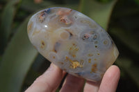 Polished Agate Standing Free Forms x 5 From Madagascar