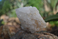 Natural "Cathedral Window" Cascading Candle Quartz Crystals x 4 From Madagascar - Toprock Gemstones and Minerals 