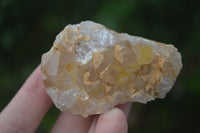 Natural Small Golden Lemonite / Limonite  Quartz Clusters  x 35 From Zambia - Toprock Gemstones and Minerals 