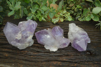 Natural Jacaranda Amethyst Clusters  x 3 From Mumbwa, Zambia - Toprock Gemstones and Minerals 