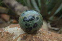 Polished Stromatolite / Kambamba Jasper Spheres  x 3 From Madagascar - Toprock Gemstones and Minerals 